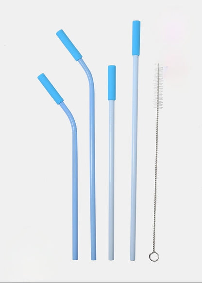 Re-usable Straw Set