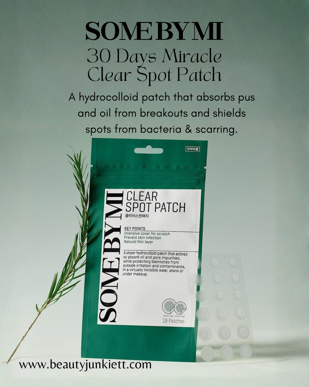 SOME BY MI 30 Days Miracle Clear Spot Patch (18)